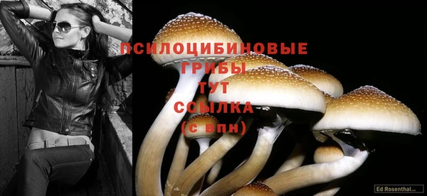 индика Майский