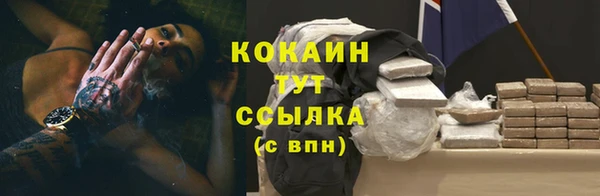 крисы Магас
