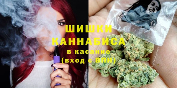 крисы Магас