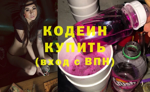 индика Майский