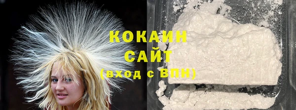 крисы Магас