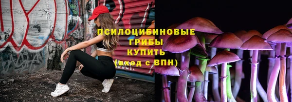 индика Майский
