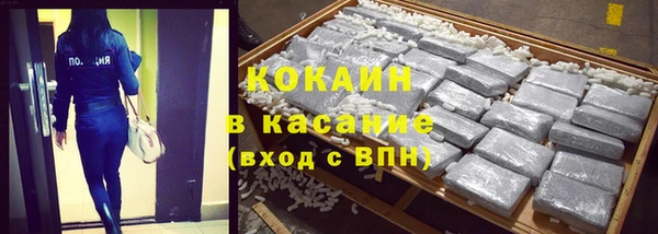 индика Майский