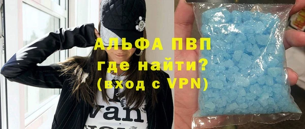 крисы Магас