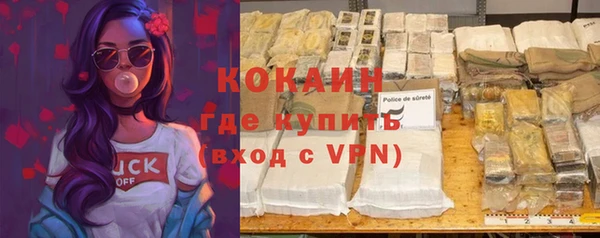 крисы Магас