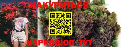 сатива Камышлов