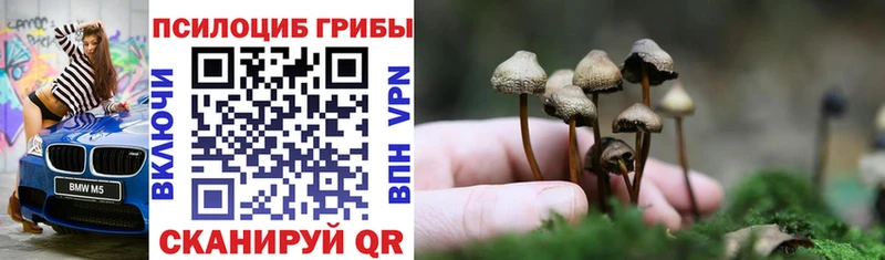 Псилоцибиновые грибы мухоморы  Тихорецк 