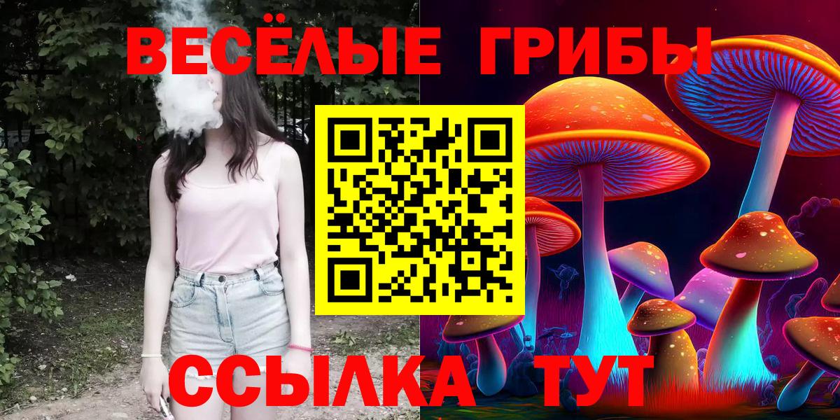 Псилоцибиновые грибы Psilocybine cubensis Тихорецк