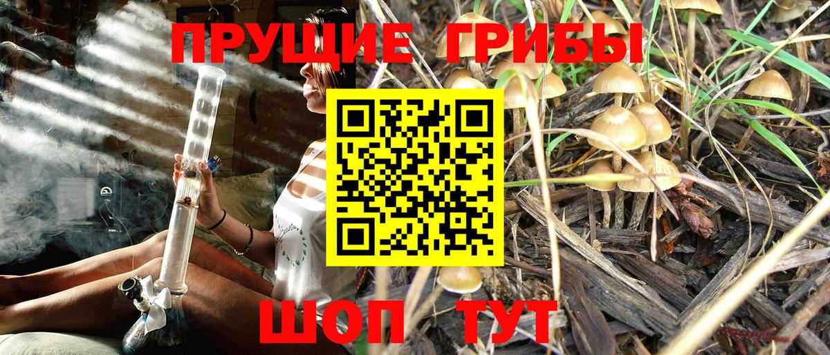 Тихорецк  Галлюциногенные грибы ЛСД  Псилоцибиновые грибы Magic Shrooms  Вход с VPN 