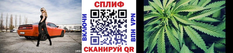 Каннабис Bruce Banner  Тихорецк 